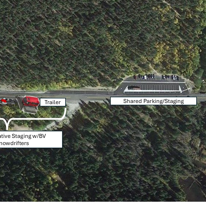 a car parked in a forest