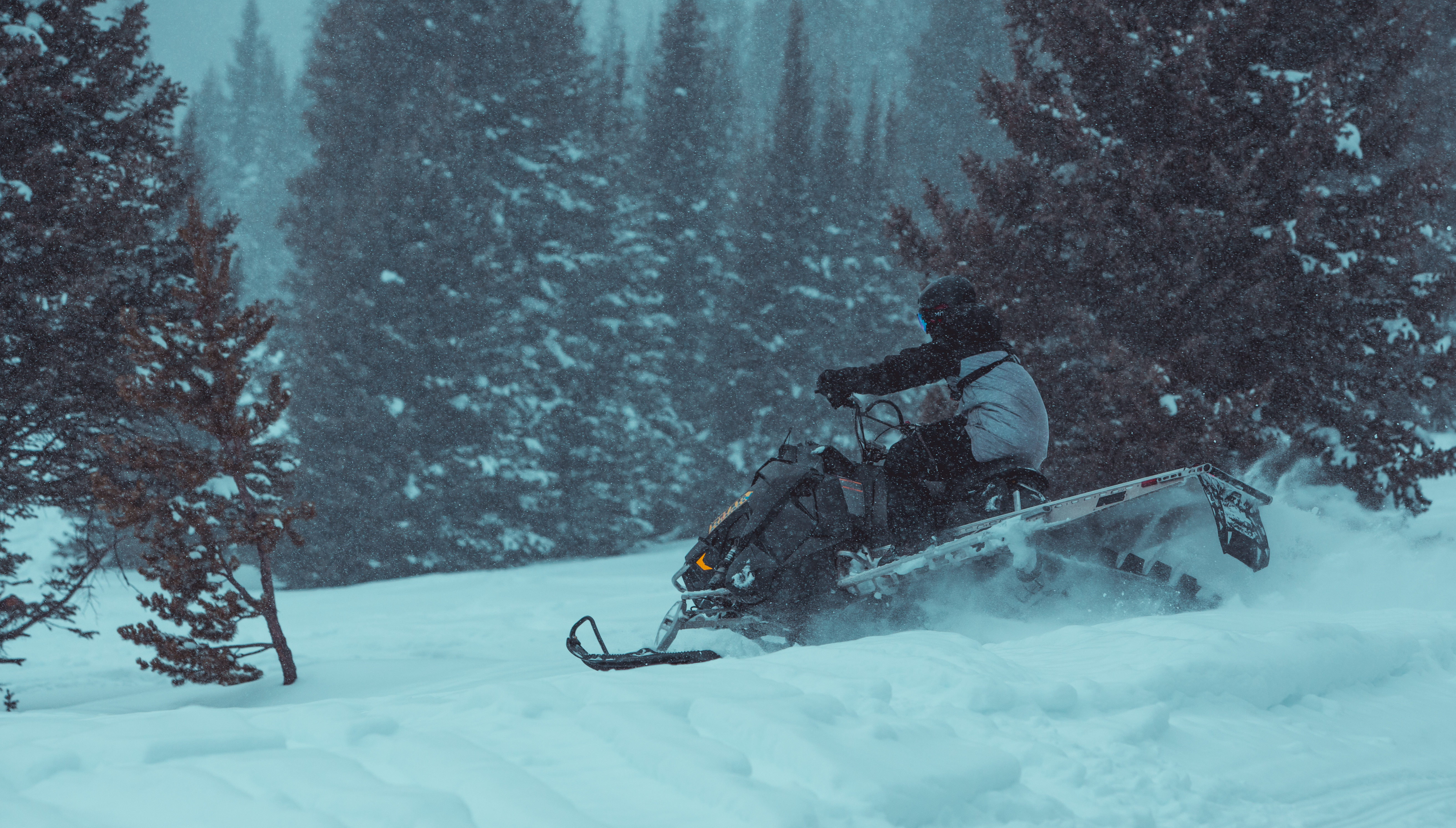 Rocky Mountain Adventure Rentals | Red Cliff & Buena Vista Rental